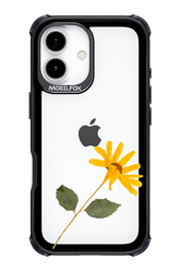 Pressed Flower - Apple iPhone 17