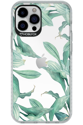 Greenpeace - Apple iPhone 12 Pro Max