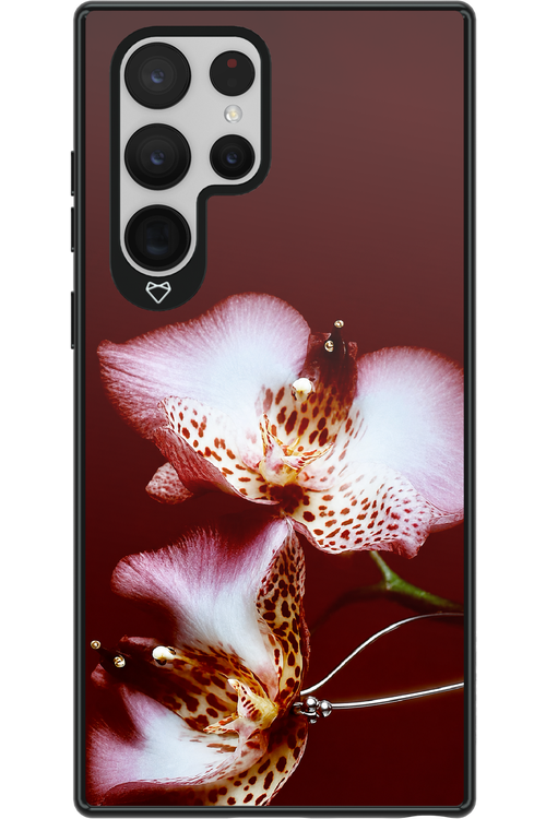 Leobloomy 2.0 - Samsung Galaxy S22 Ultra