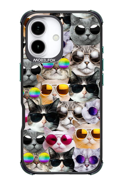 Cat World - Apple iPhone 17