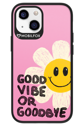 Goodbye - Apple iPhone 13 Mini