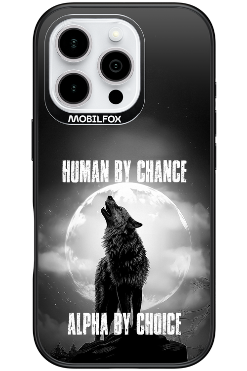 Alpha 2.0 - Apple iPhone 16 Pro