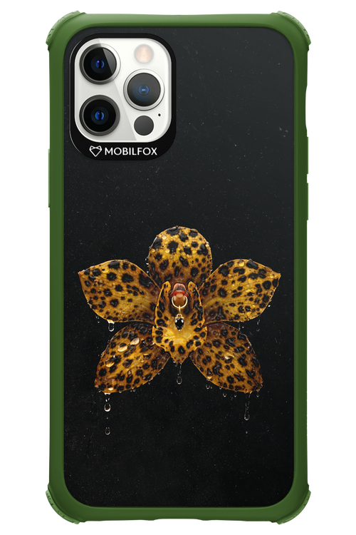 Wet & Wild 2.0 - Apple iPhone 12 Pro