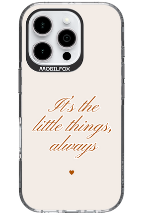 Little Things - Apple iPhone 16 Pro