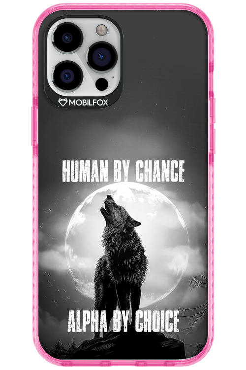 Alpha 2.0 - Apple iPhone 12 Pro Max