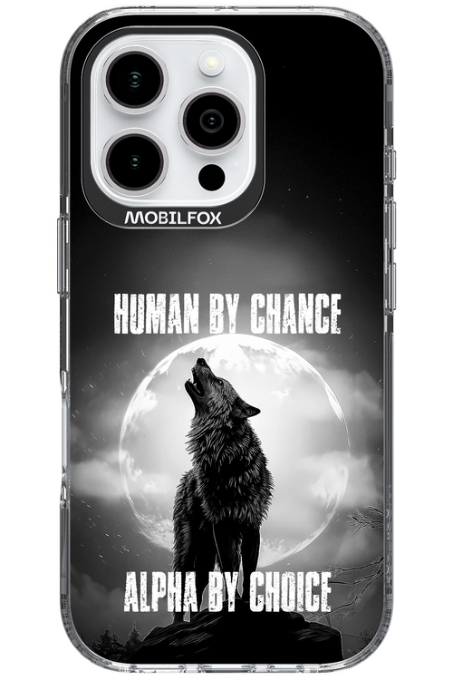Alpha 2.0 - Apple iPhone 16 Pro