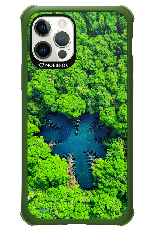 Amazon Echo - Apple iPhone 12 Pro