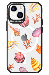 Sea Shells - Apple iPhone 13 Mini