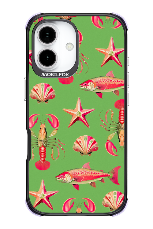 Sea Stars - Apple iPhone 17