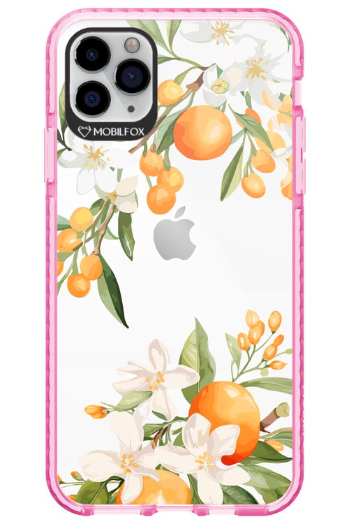 Amalfi Orange - Apple iPhone 11 Pro Max