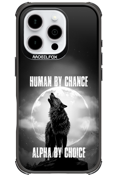 Alpha 2.0 - Apple iPhone 16 Pro