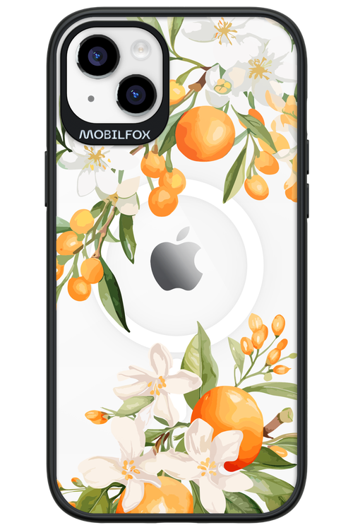 Amalfi Orange - Apple iPhone 14 Plus