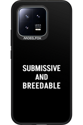 S&B 2.0 - Xiaomi 13