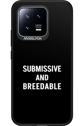 S&B 2.0 - Xiaomi 13