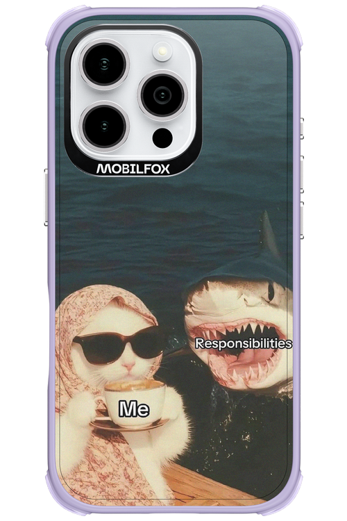 Responsibilities - Apple iPhone 16 Pro