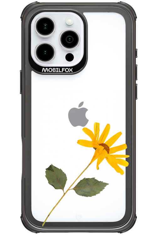 Pressed Flower - Apple iPhone 16 Pro Max