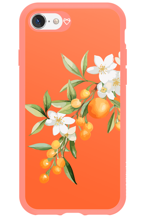 Amalfi Oranges - Apple iPhone SE 2022