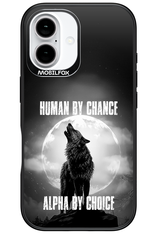 Alpha 2.0 - Apple iPhone 16