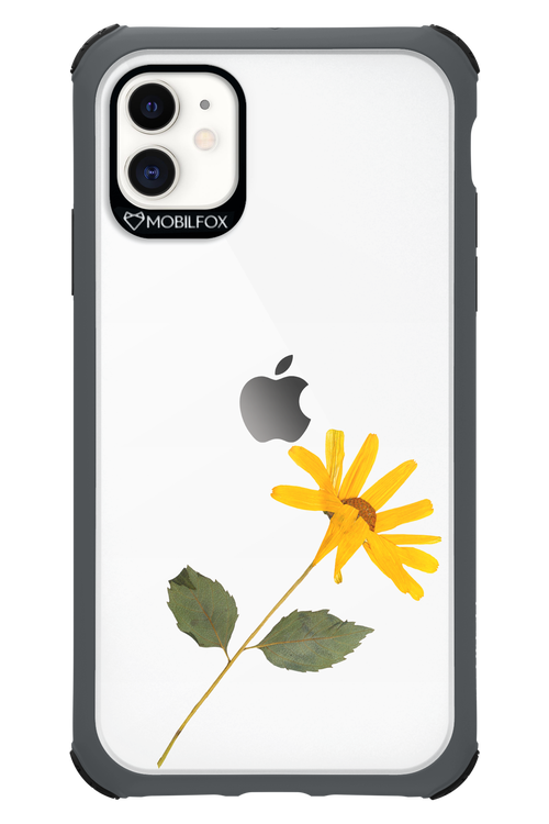 Pressed Flower - Apple iPhone 11