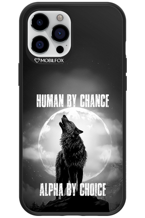 Alpha 2.0 - Apple iPhone 12 Pro Max
