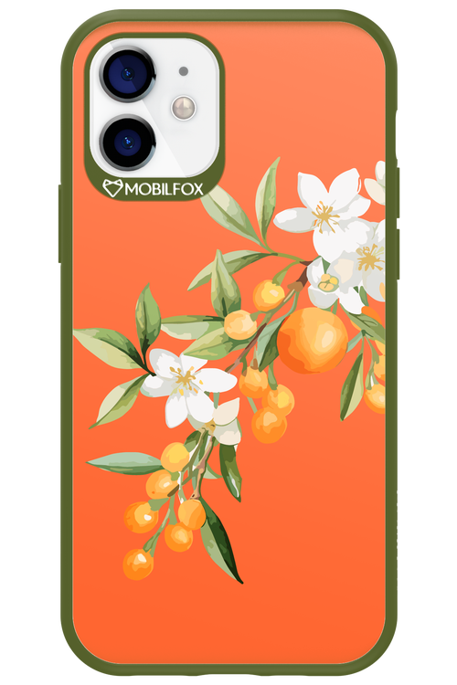 Amalfi Oranges - Apple iPhone 12