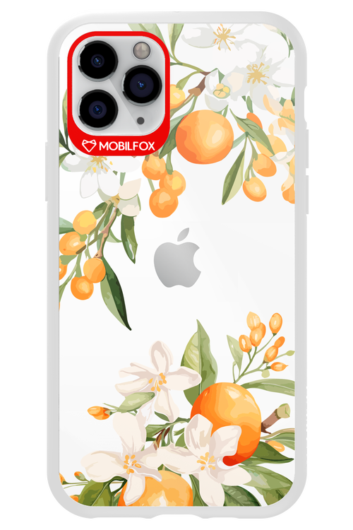 Amalfi Orange - Apple iPhone 11 Pro