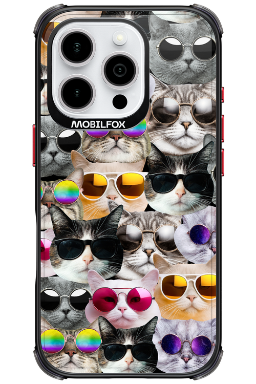 Cat World - Apple iPhone 16 Pro