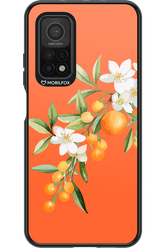 Amalfi Oranges - Xiaomi Mi 10T 5G