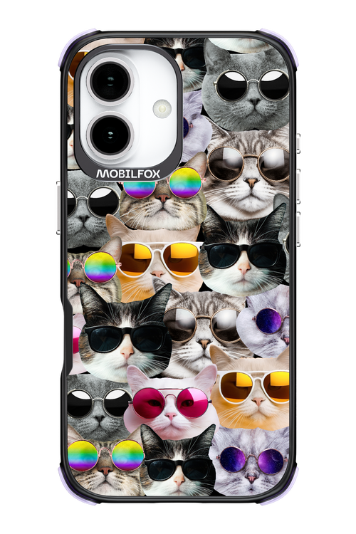 Cat World - Apple iPhone 17