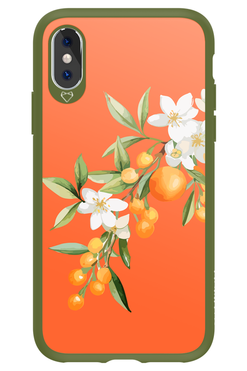 Amalfi Oranges - Apple iPhone XS