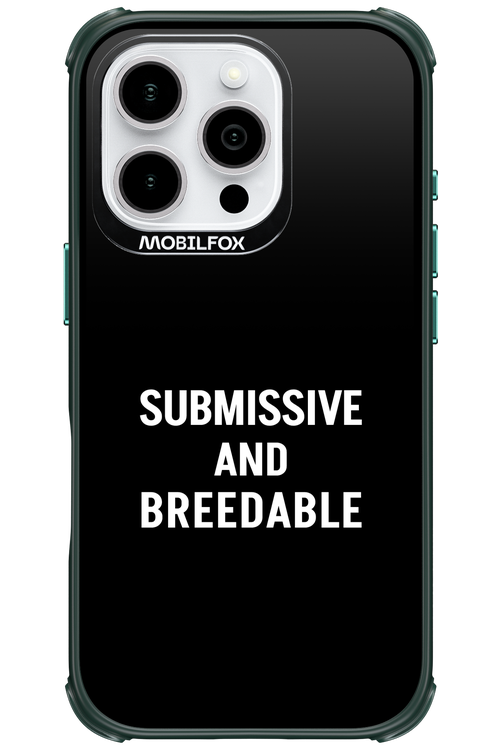 S&B 2.0 - Apple iPhone 16 Pro