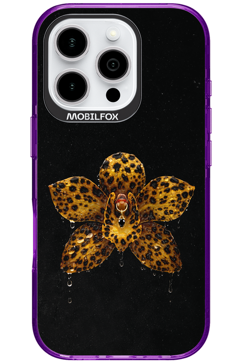 Wet & Wild 2.0 - Apple iPhone 16 Pro