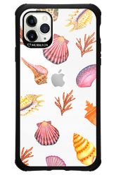 Sea Shells - Apple iPhone 11 Pro Max