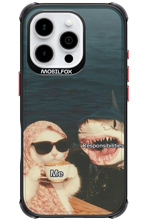 Responsibilities - Apple iPhone 16 Pro