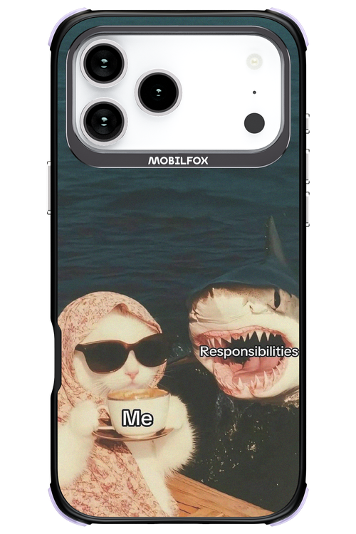 Responsibilities - Apple iPhone 17 Pro Max